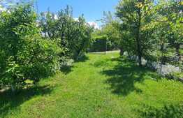 Casa cu teren de 663 mp, Daia Noua 