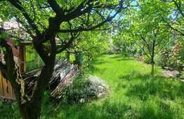 Casa cu teren de 663 mp, Daia Noua 