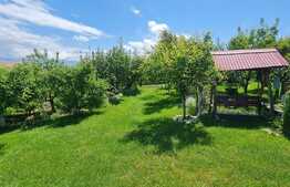 Casa cu teren de 663 mp, Daia Noua 