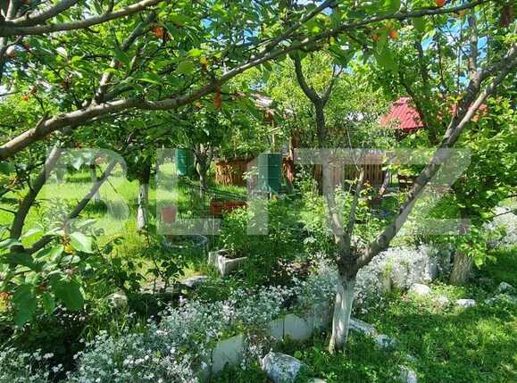 Casa de vânzare 1 camera Sud Est - 87899CV | BLITZ Sibiu | Poza2