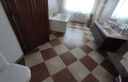 Vila de lux, 1067 mp suprafata desfasurata,2500mp curte libera