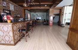 Vila de lux, 1067 mp suprafata desfasurata,2500mp curte libera