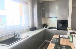 Apartament 2 camere, 50 mp, etaj intermediar, Doamna Stanca