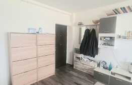 Apartament 2 camere, 50 mp, etaj intermediar, Doamna Stanca