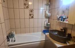 Apartament 2 camere, 50 mp, etaj intermediar, Doamna Stanca