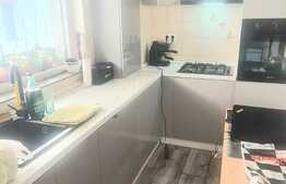 Apartament 2 camere, 50 mp, etaj intermediar, Doamna Stanca