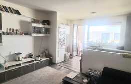 Apartament 2 camere, 50 mp, etaj intermediar, Doamna Stanca