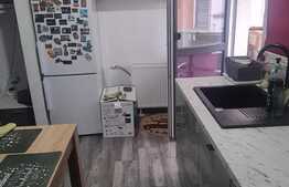 Apartament 2 camere, 50 mp, etaj intermediar, Doamna Stanca