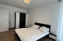 Apartament 2 camere, 52 mp, piscina, Doamna Stanca 