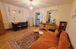 Apartament 2 camere, 45 mp, semidecomandat, curte, zona Centrala