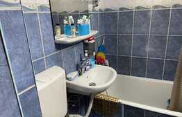 Apartament 3 cam, Ultracentral