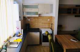 Apartament cu 2 camere, 48 MP in zona Doamna Stanca 