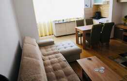 Apartament cu 2 camere, 48 MP in zona Doamna Stanca 