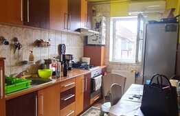 Apartament cu 3 camere 63 mp semidecomandat zona Terezian