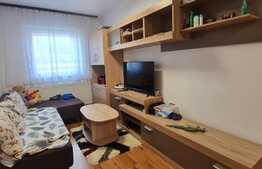 Apartament cu 3 camere 63 mp semidecomandat zona Terezian
