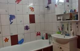 Apartament cu 3 camere 63 mp semidecomandat zona Terezian