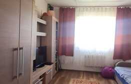 Garsoniera 21 mp, cartierul Vasile Aaron