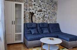 Apartamnet de 2 camere, renovat complet, zona Terezian