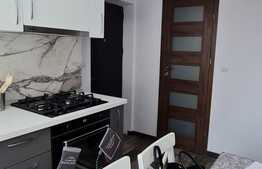 Apartamnet de 2 camere, renovat complet, zona Terezian