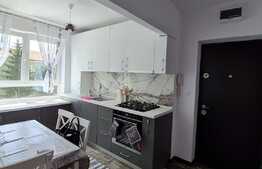 Apartamnet de 2 camere, renovat complet, zona Terezian