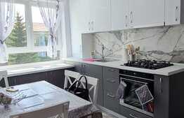 Apartamnet de 2 camere, renovat complet, zona Terezian