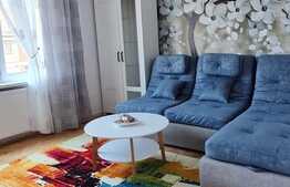 Apartamnet de 2 camere, renovat complet, zona Terezian