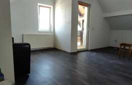 Apartament 2 camere, 49 mp, decomandat, Turnisor