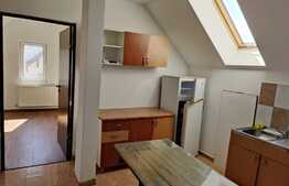 Apartament 2 camere, 49 mp, decomandat, Turnisor