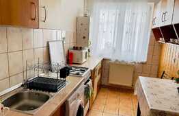 Apartament 2 camere, 46 mp, semidecomandat, pe Calea Cisnadiei 