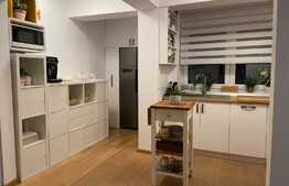 Penthouse central, 3 camere, 78 mp, 2 terase, Turnisor