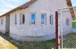 Casa individuala, 100 mp, Cristian