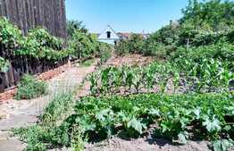 Casa individuala, 120 mp, teren 1300 mp, Cristian