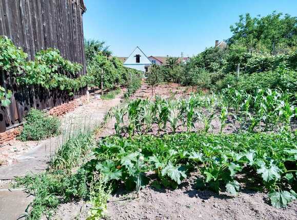 Casa de vânzare 3 camere Exterior Vest - 89766CV | BLITZ Sibiu | Poza14