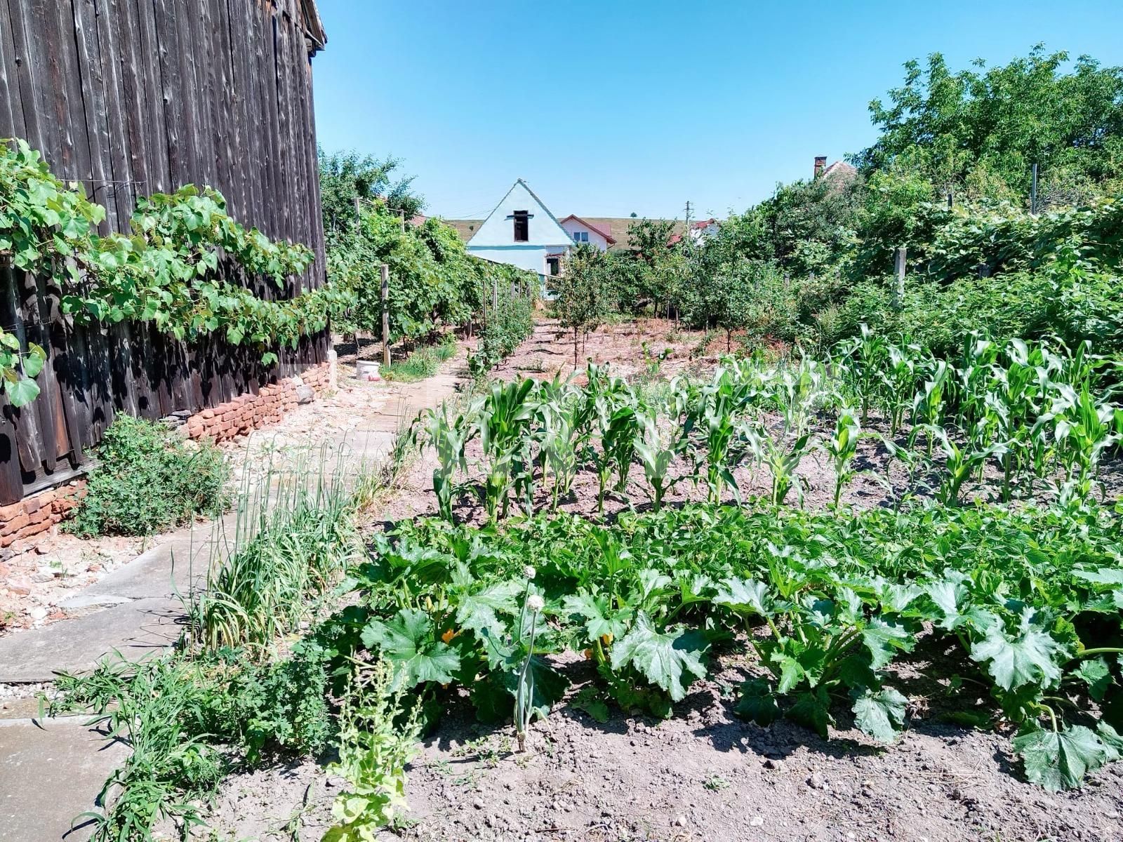 Casa de vânzare 3 camere Exterior Vest - 89766CV | BLITZ Sibiu | Poza14