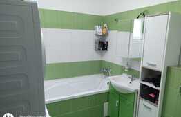 Apartament 2 camere, 60 mp, curte 86 mp, Arhitectilor