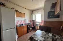 Apartament 4 camere, decomandat, Vasile Aron