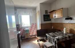 Apartament 4 camere, decomandat, Vasile Aron