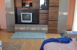 Apartament de 2 camere, decomandat, 81 mp, Turnisor