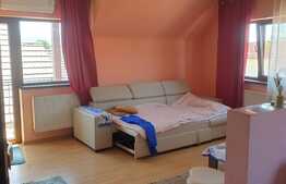 Apartament de 2 camere, decomandat, 81 mp, Turnisor