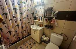 Apartament 2 camere, 48 mp, gradina, Terezian