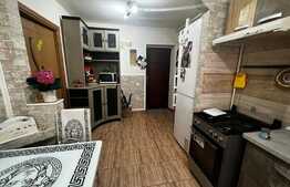 Apartament 2 camere, 48 mp, gradina, Terezian