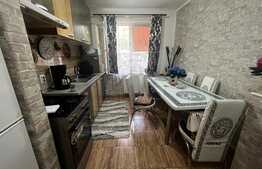 Apartament 2 camere, 48 mp, gradina, Terezian