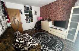 Apartament 2 camere, 48 mp, gradina, Terezian