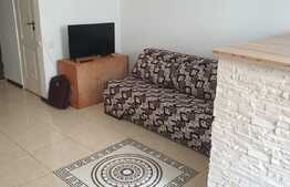 Apartament de 1 camera, decomandat, 22 mp, zona Vasile Aron