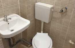 Apartament de 1 camera, decomandat, 22 mp, zona Vasile Aron