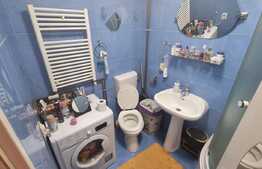 Mansarda 2 camere, 50 mp, mobilat/utilat, in Vasile Aron