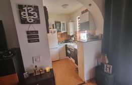 Mansarda 2 camere, 50 mp, mobilat/utilat, in Vasile Aron