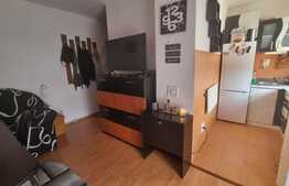 Mansarda 2 camere, 50 mp, mobilat/utilat, in Vasile Aron