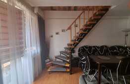 Mansarda 2 camere, 50 mp, mobilat/utilat, in Vasile Aron