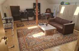 Casa familiala, 360 mp, teren 430 mp, terasa, Calea Poplacii